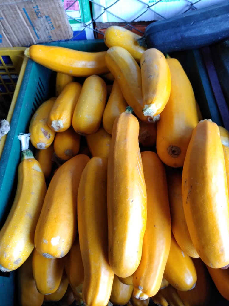 Zuccini amarillo