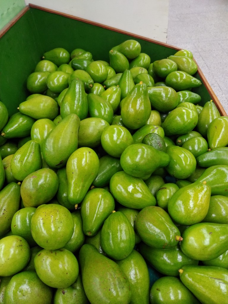 Aguacate papelillo 1ra