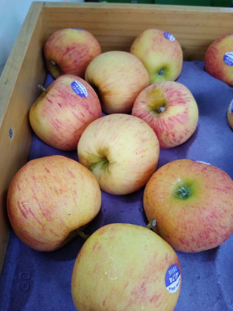 Manzana gala