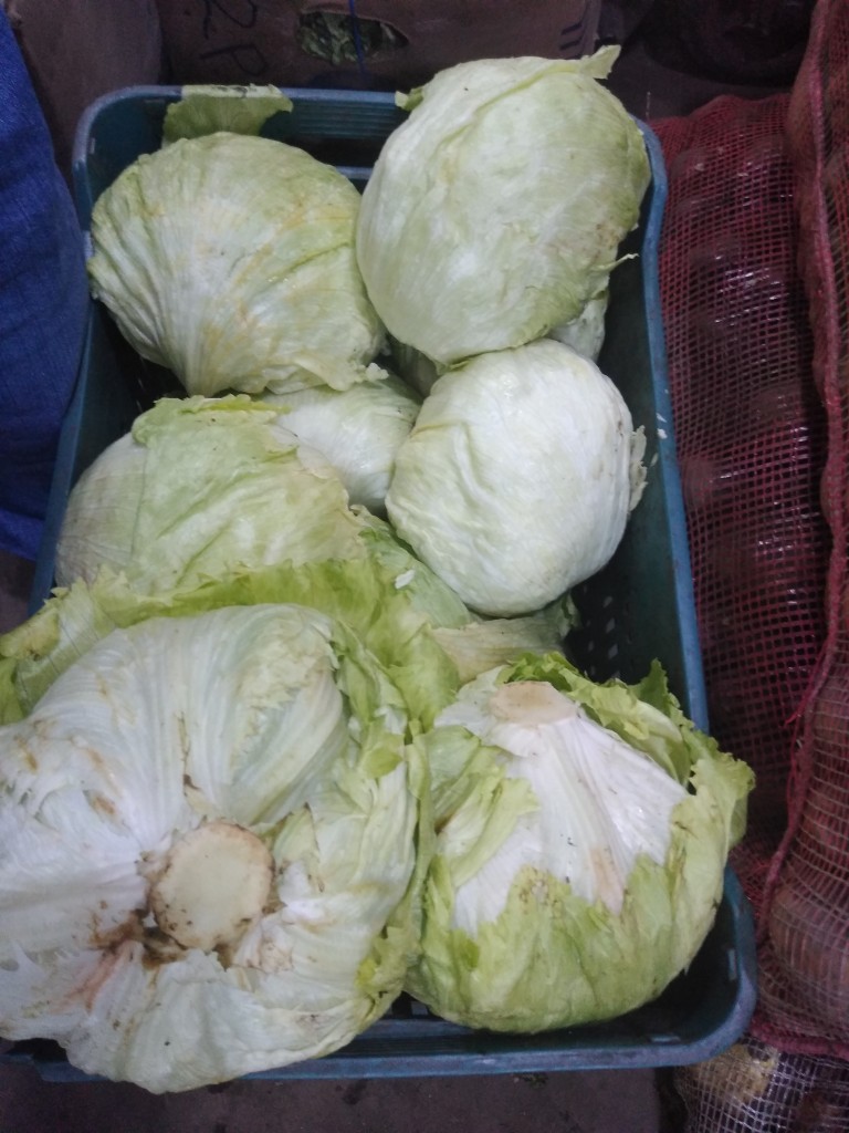 Batavia / Nariño