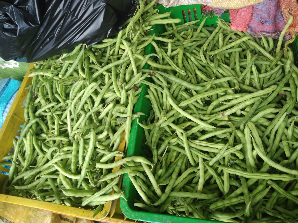 Habichuela
