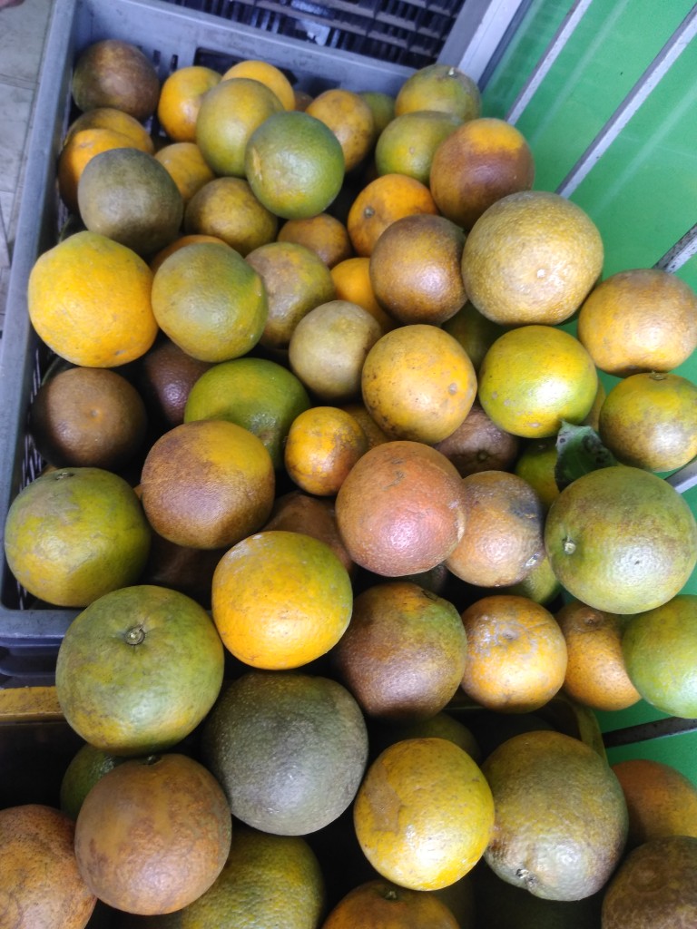 Naranja swith