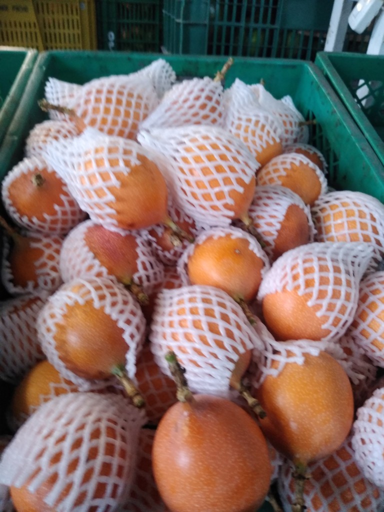 Granadilla 1ra