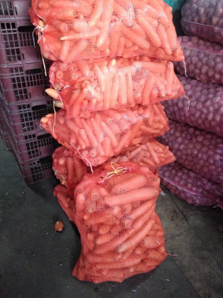 Zanahoria pastusa