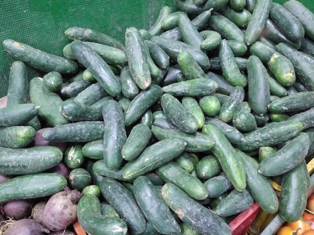 Pepino
