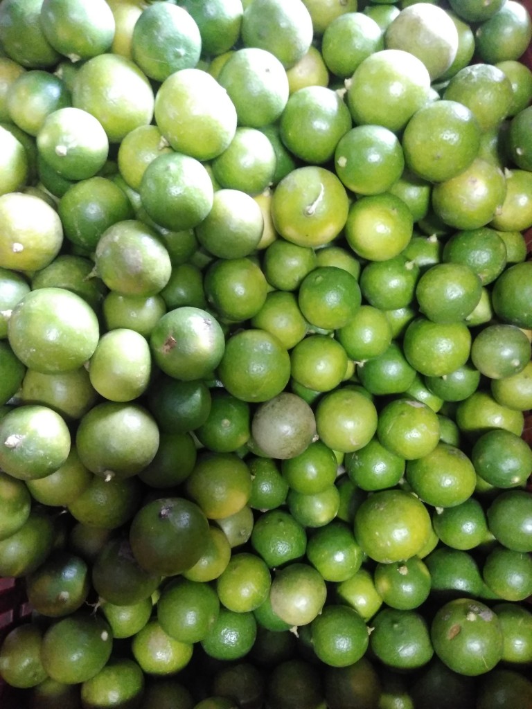 Limón pajarito
