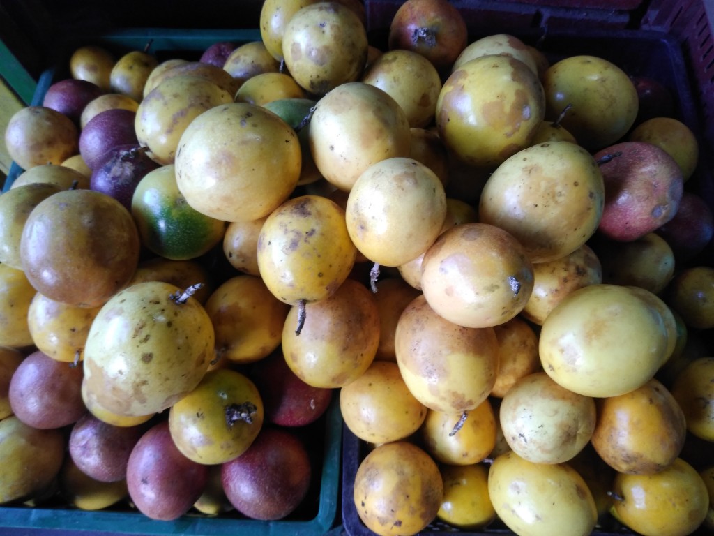 Maracuyá