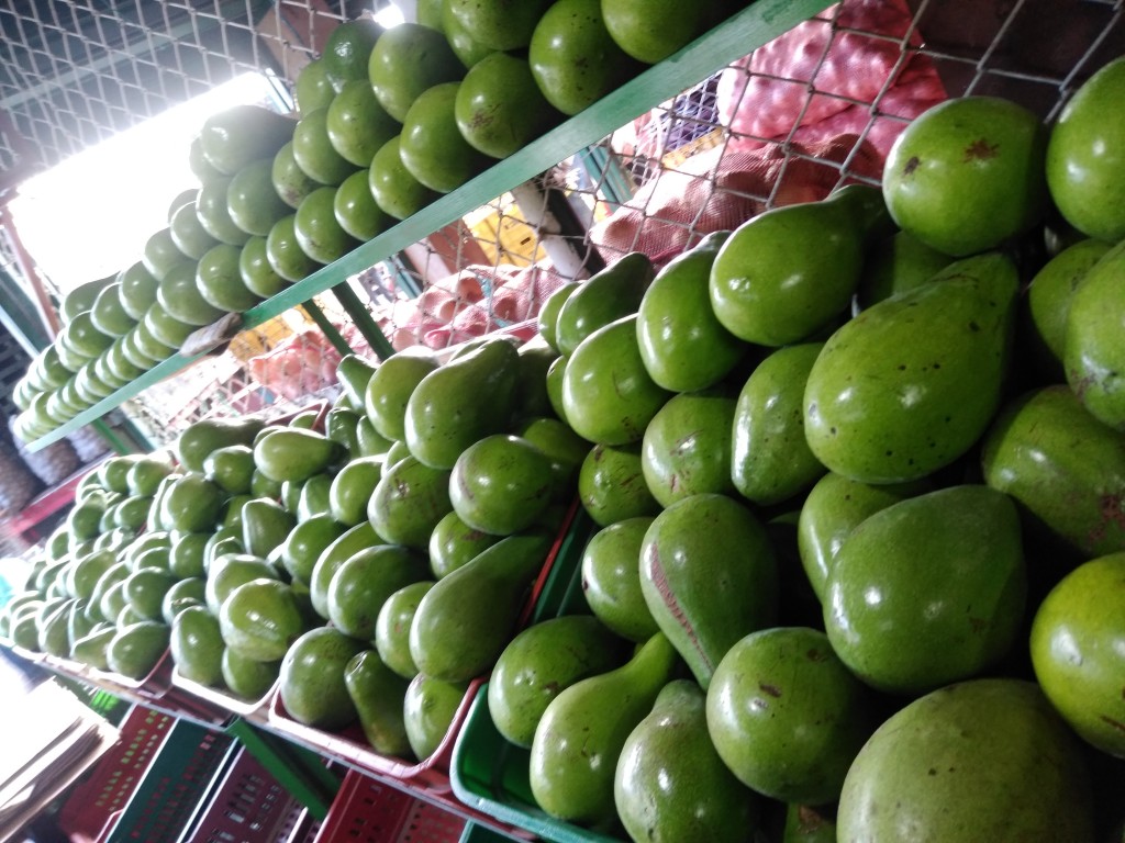 Aguacate papelillo 2da
