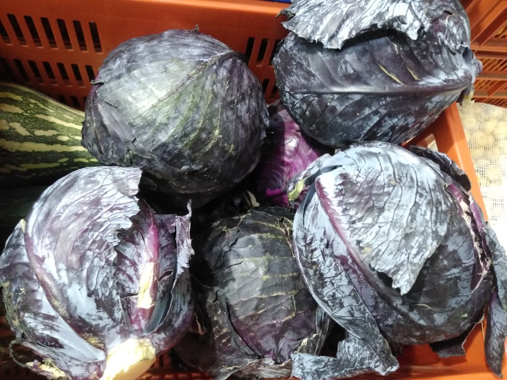 Repollo morado