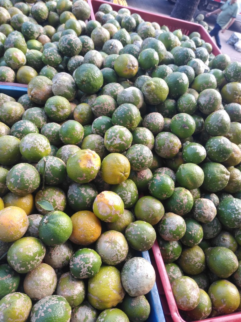 Limón mandarino