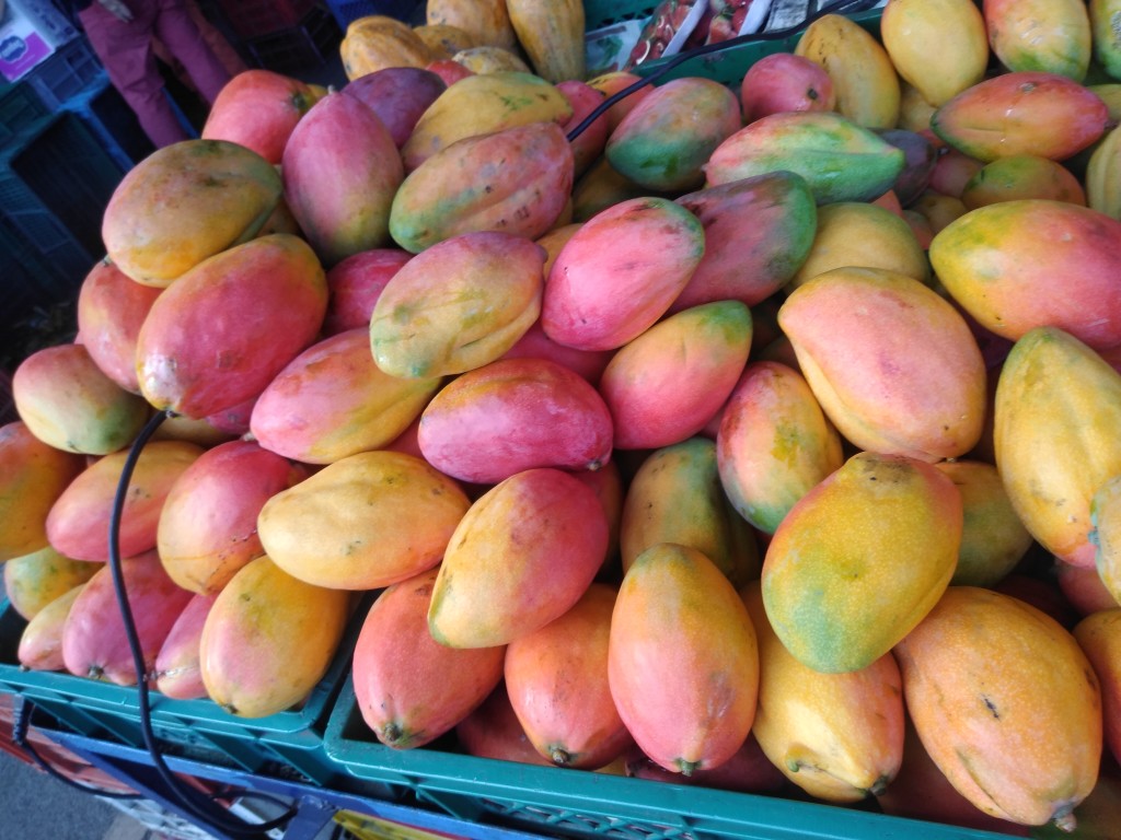 Mango yulima