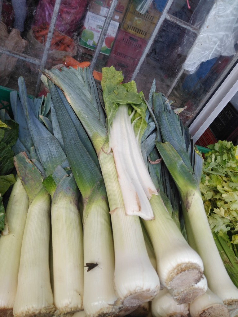 Cebolla puerro