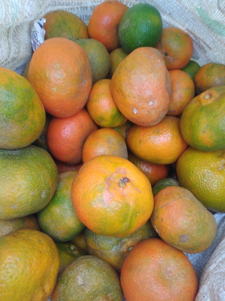 Mandarina arrayana