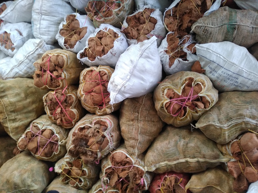 Capacho de coco seco