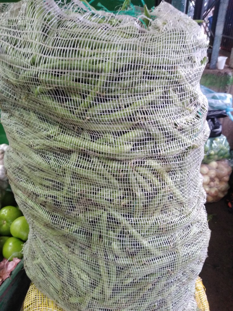 Habichuela