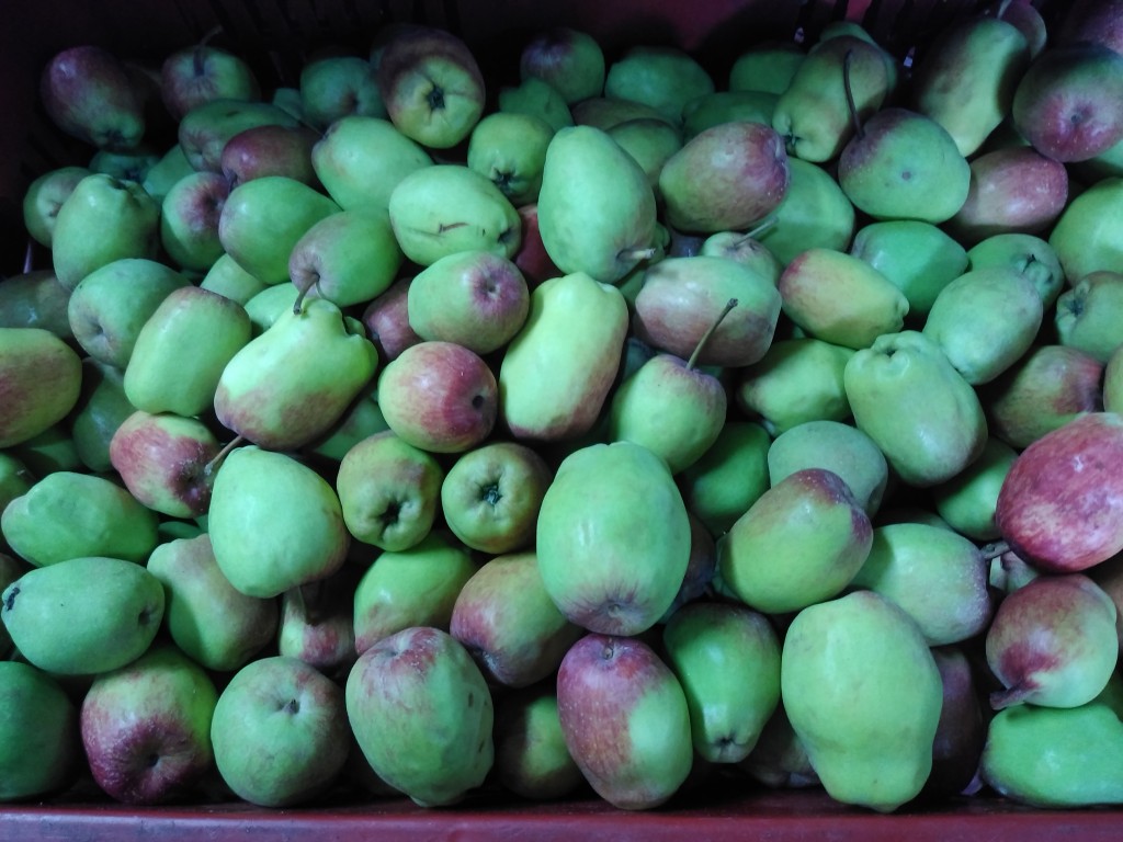 Manzana nacional