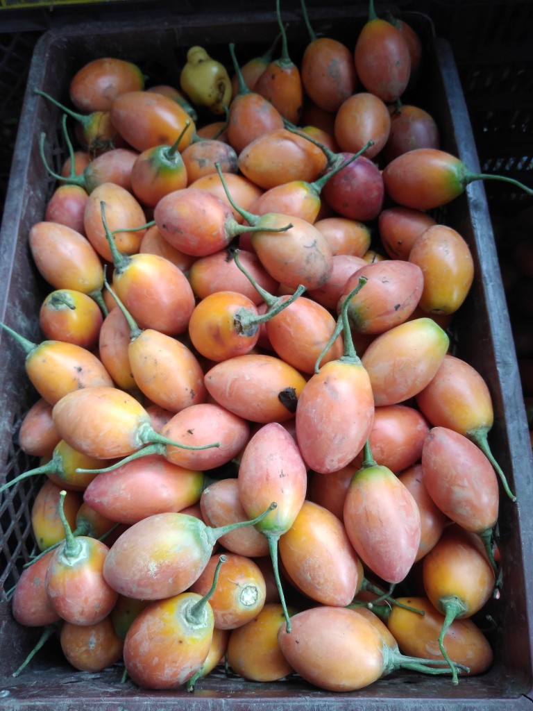 Tomate de árbol