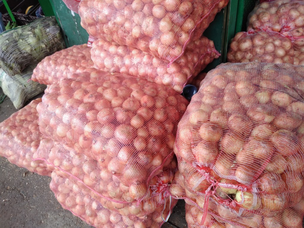 Cebolla huevo