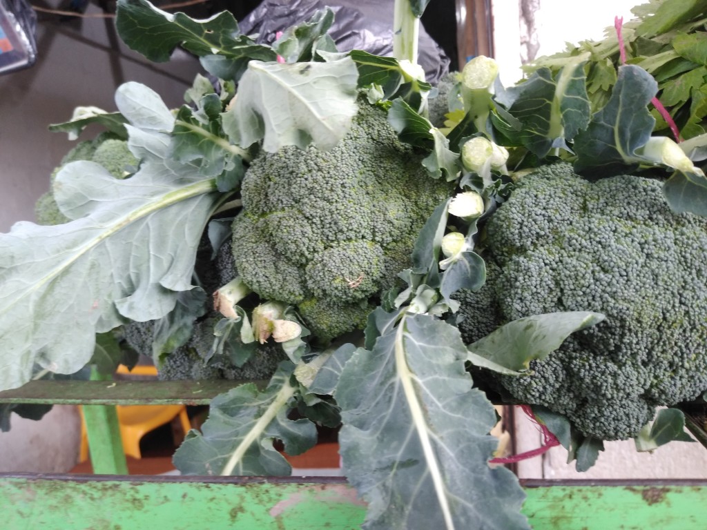 Brócoli