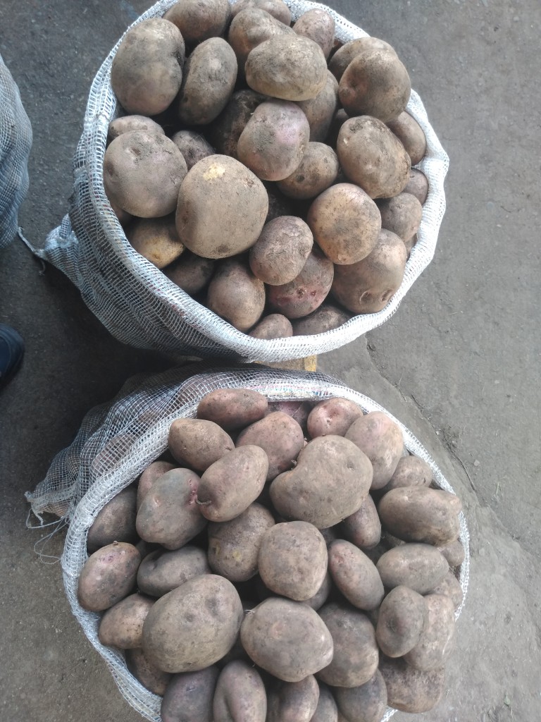 Papa superior/ Nariño