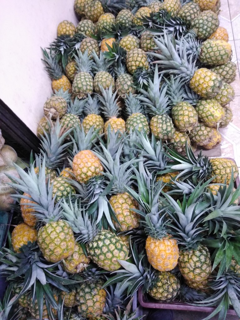 Piña oro miel 3ra