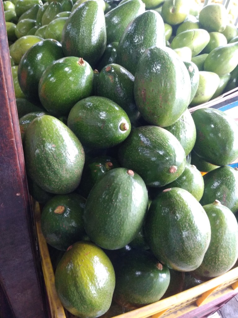 Aguacate choquette