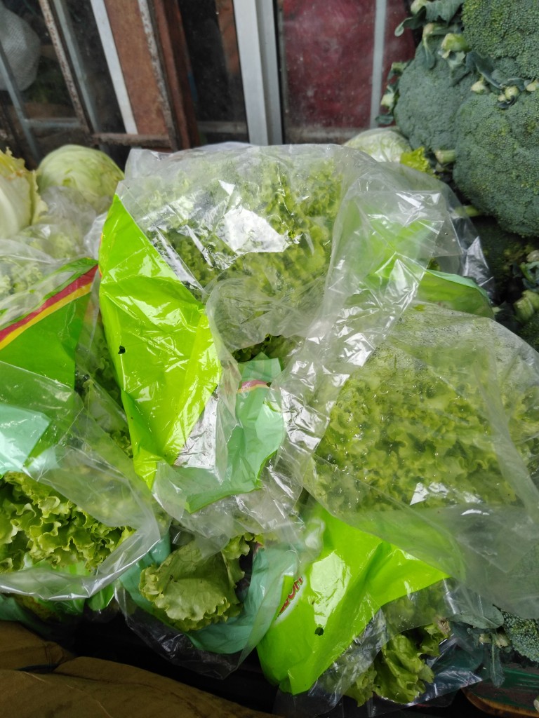 Lechuga crespa