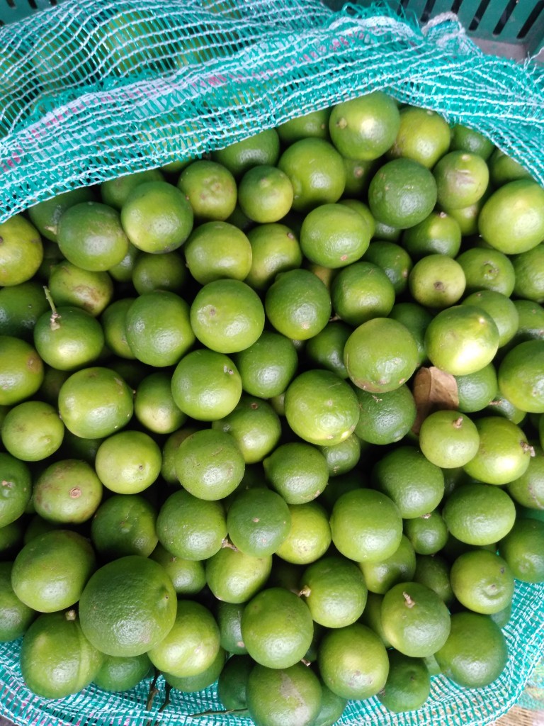 Limón pajarito