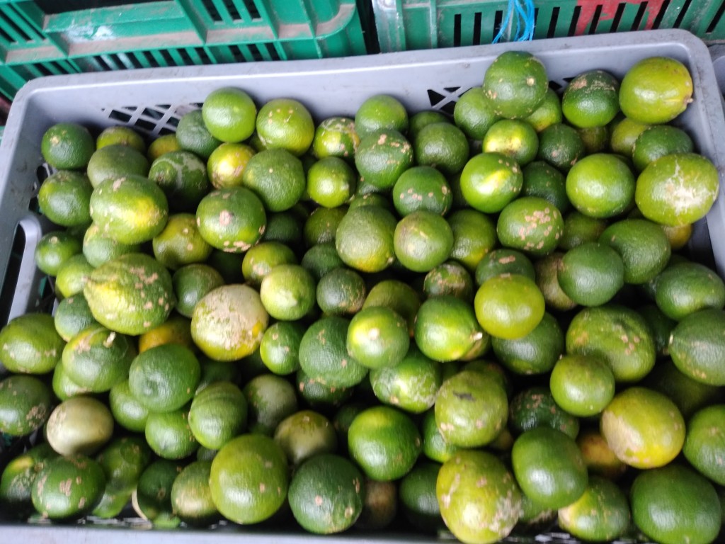 Limón Mandarino