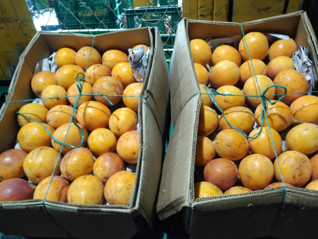 Granadilla 1ra