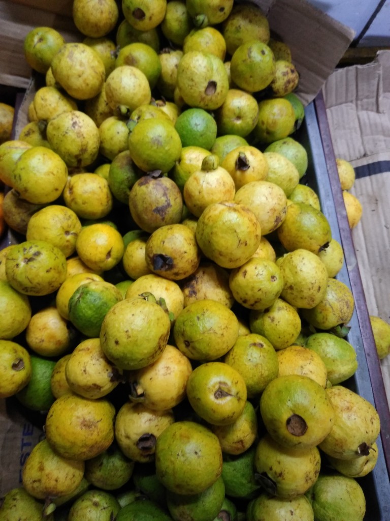Guayaba Agria