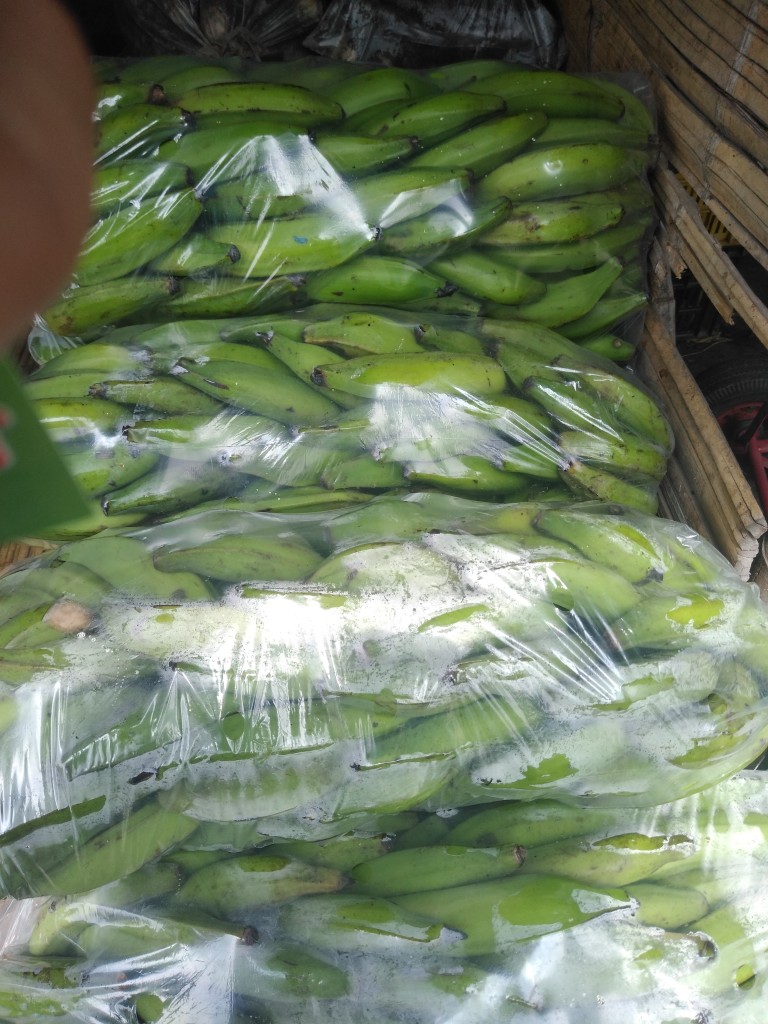 Plátano harton / Quindío