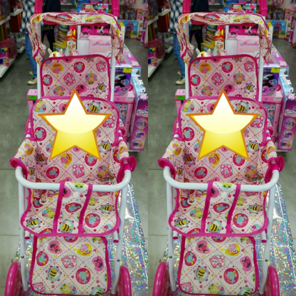 Coche mumica bolsa