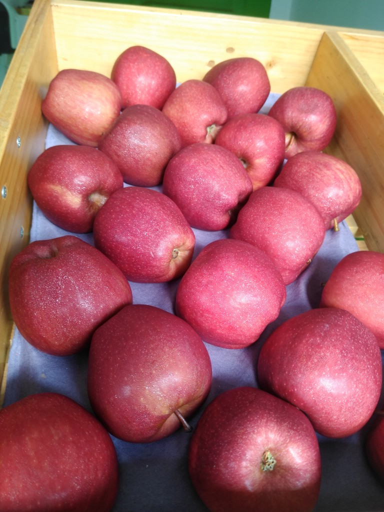 Manzana roja