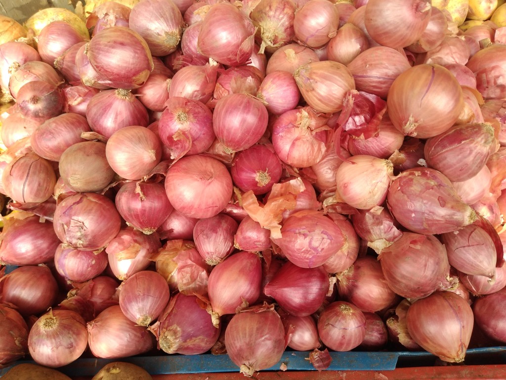 Cebolla morada peruana