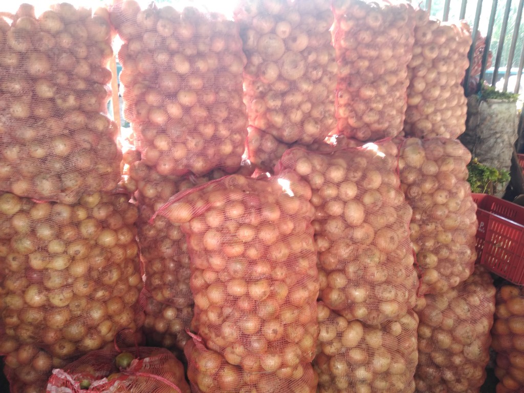 Guayaba pera — foto 7 de 13