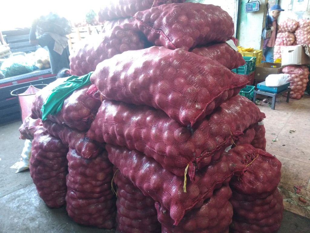 Cebolla morada peruana