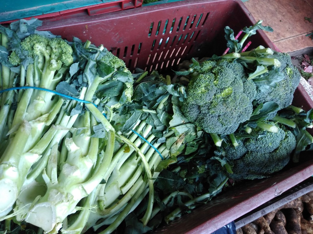 Brócoli