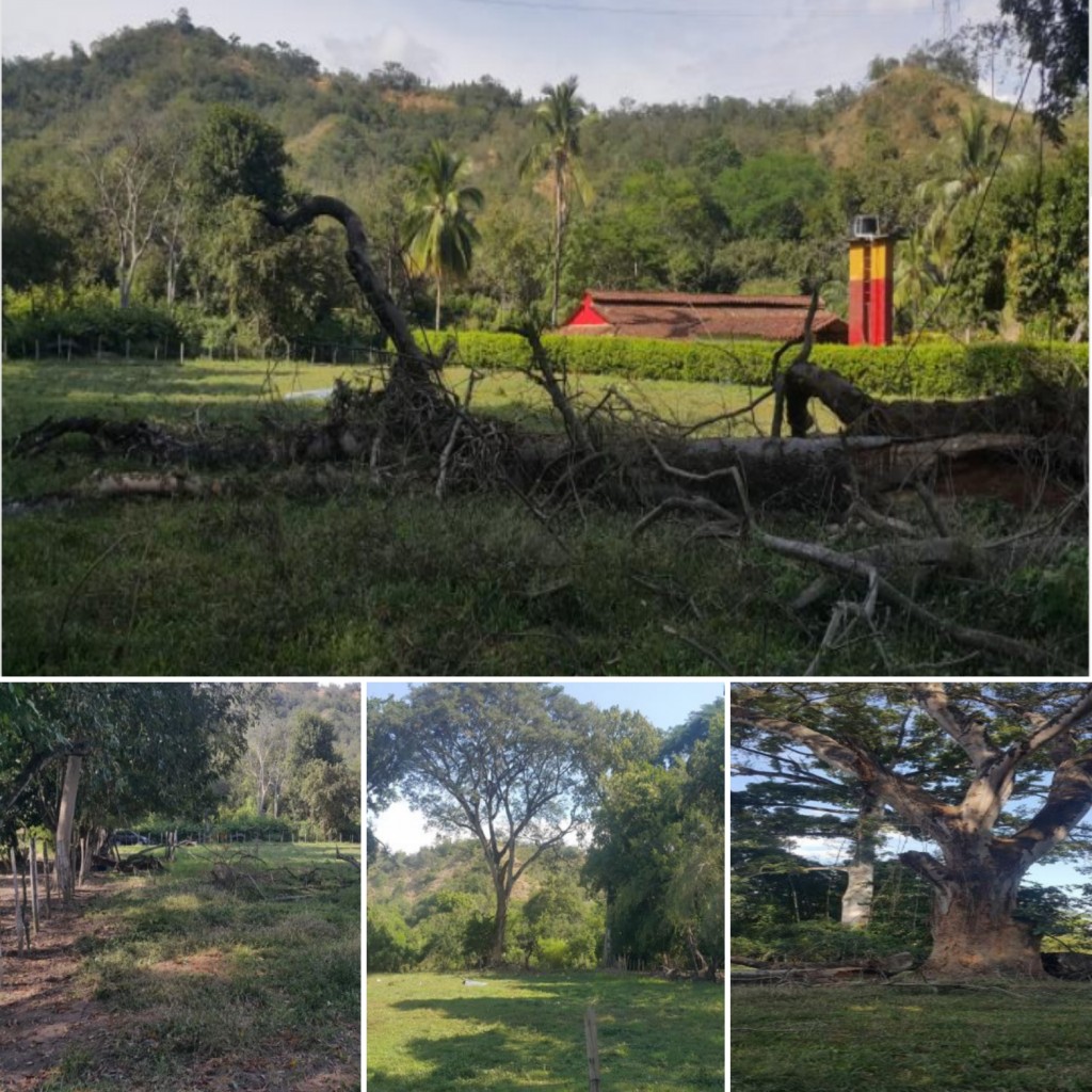 Finca (San Jerónimo - santa fe - occidente de San Jerónimo)