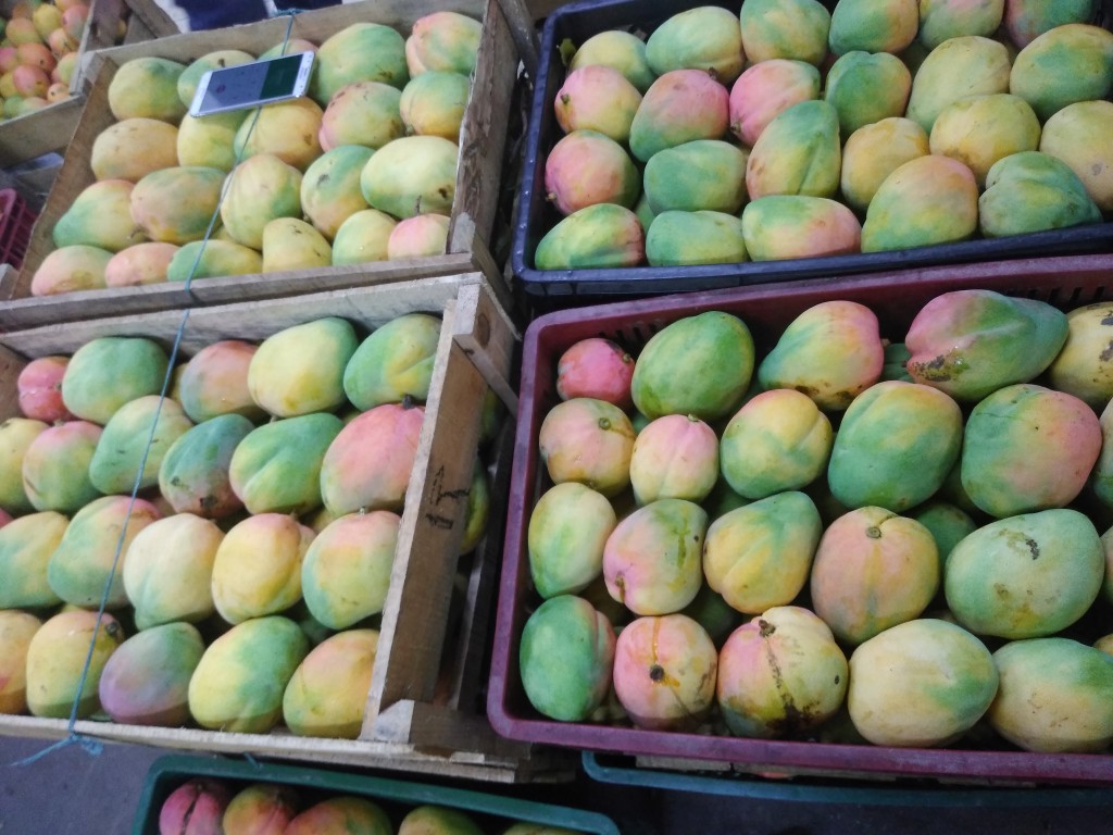 Mango manzano