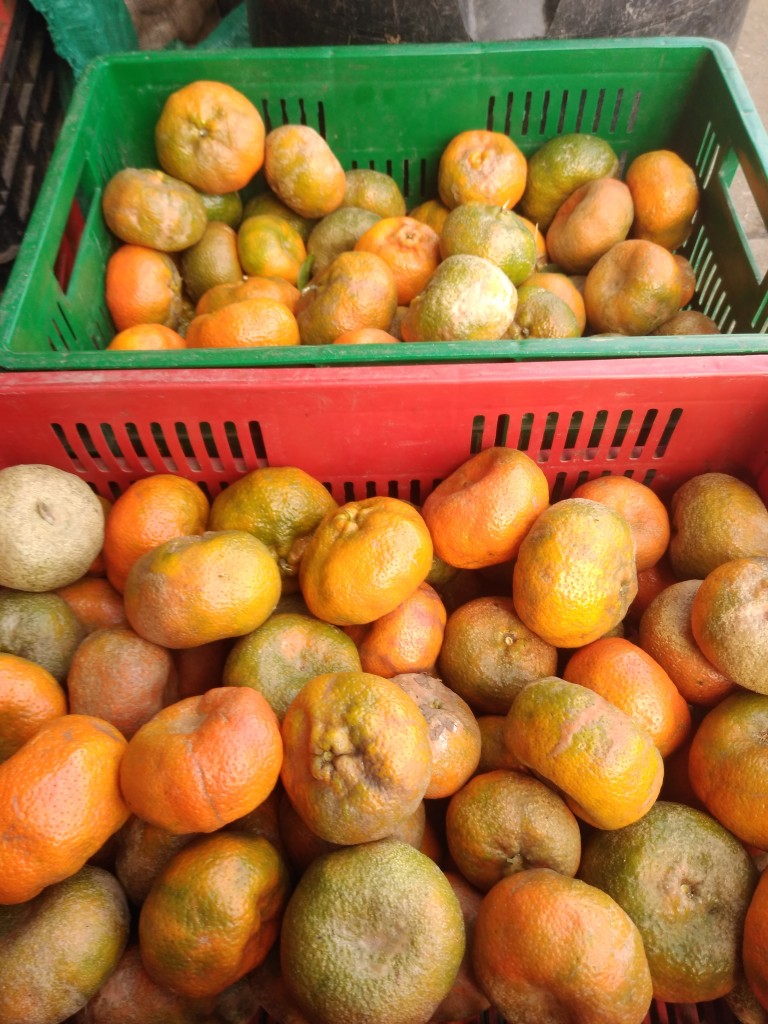 Mandarina arrayana