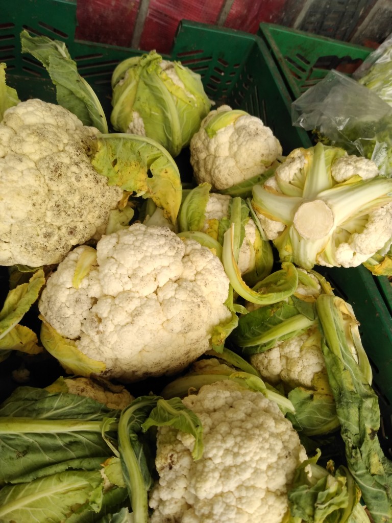 Coliflor