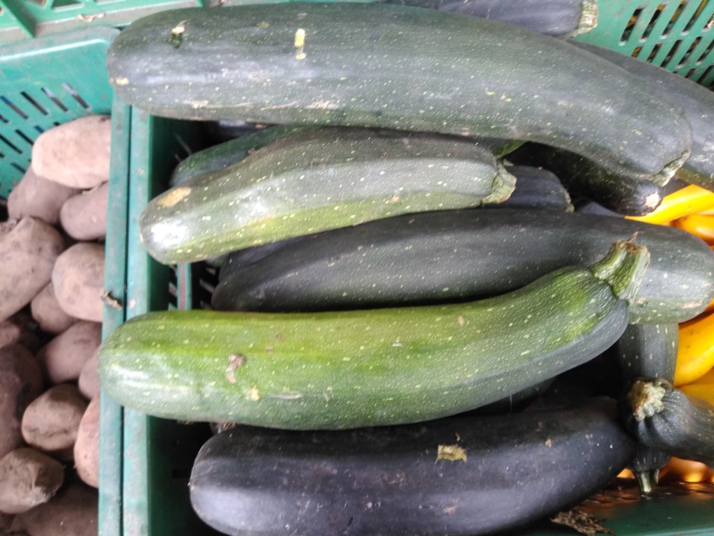 Calabacín