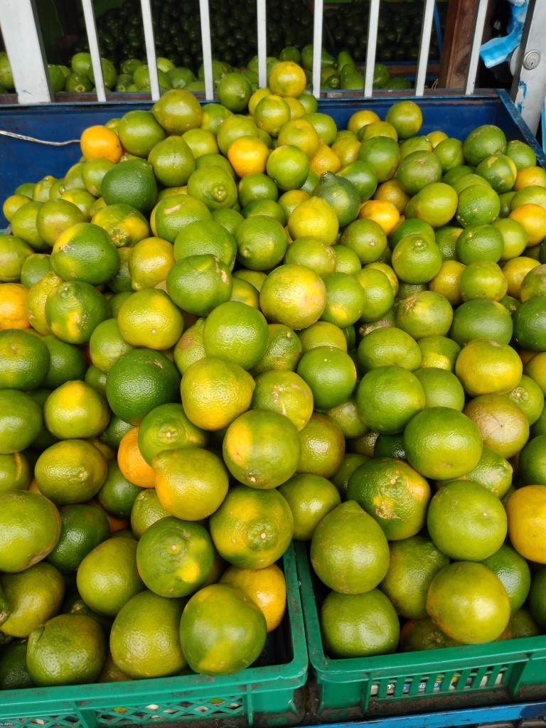 Limón Tahití — foto 8 de 8