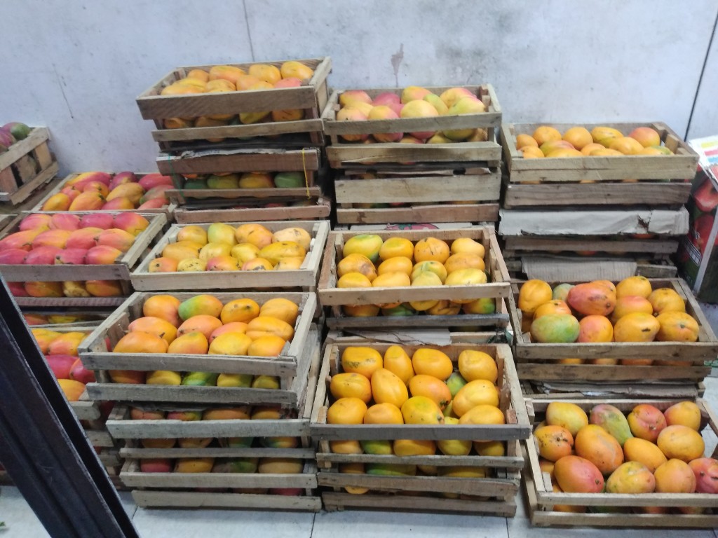 Mango reina