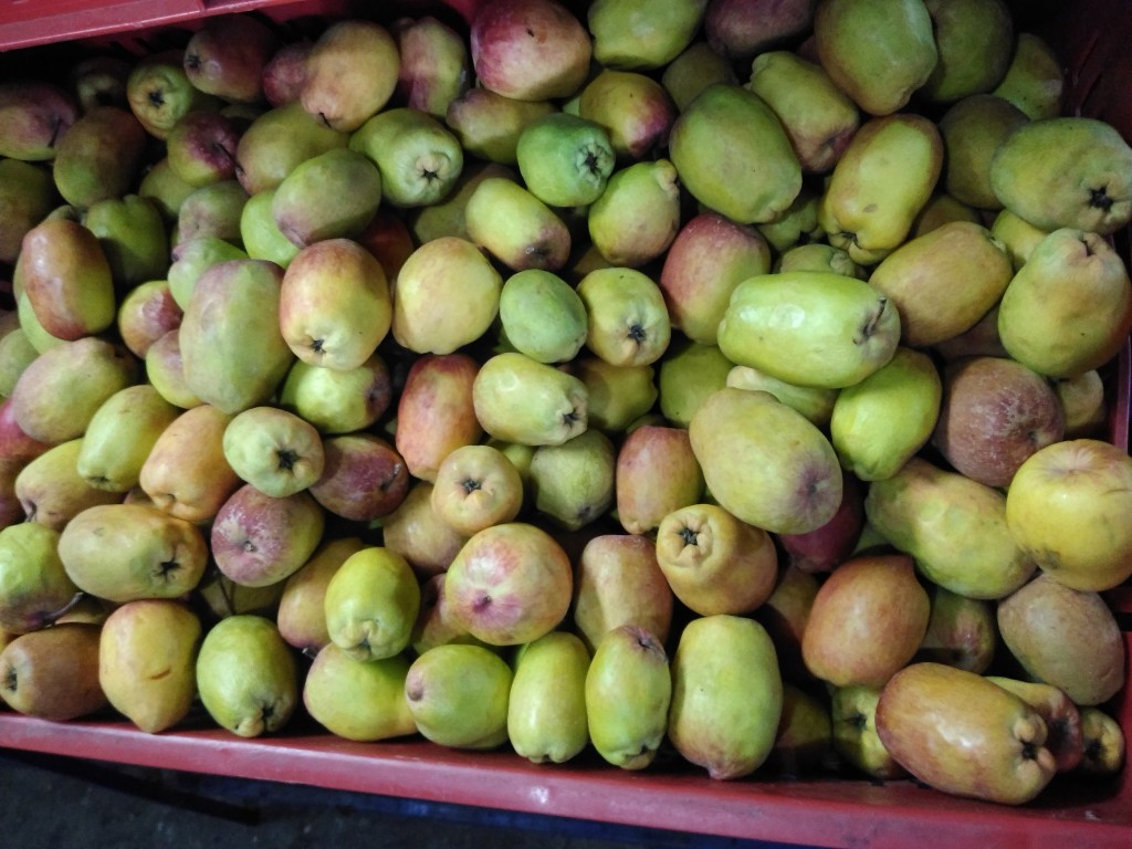 Manzana de agua o nacional