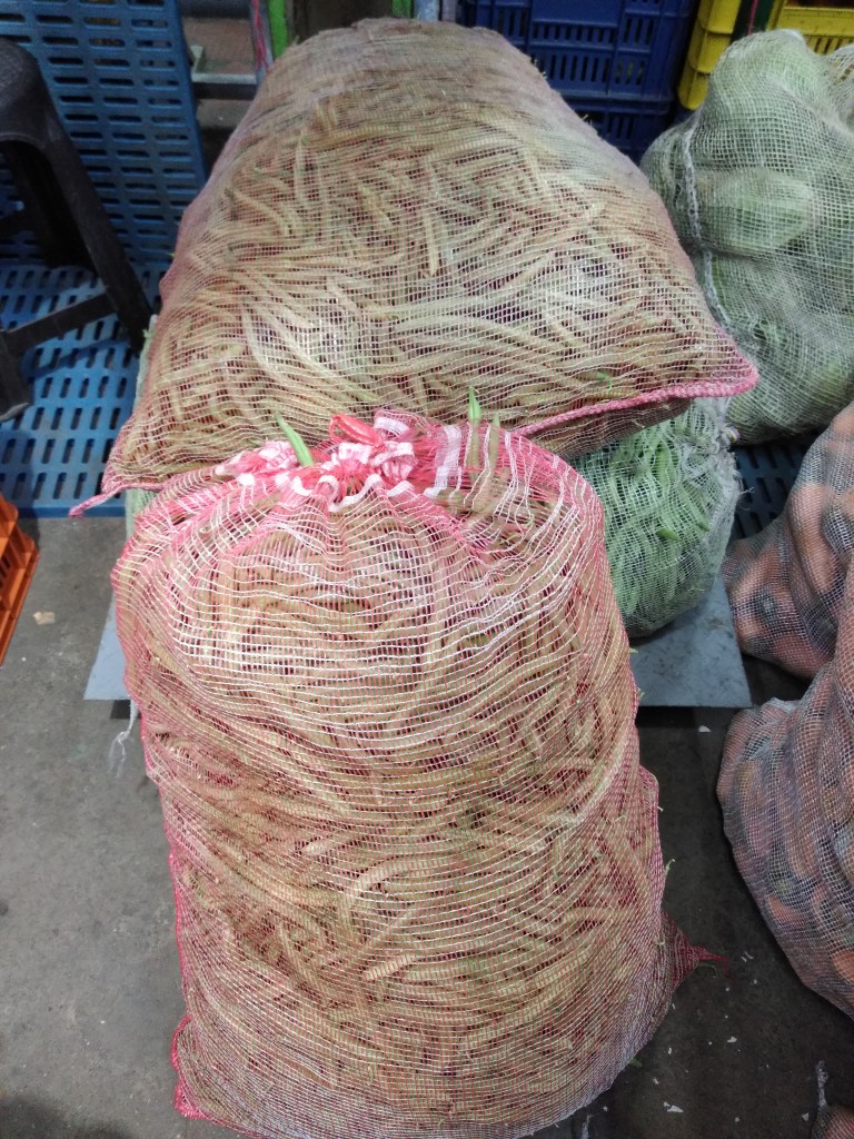 Habichuela