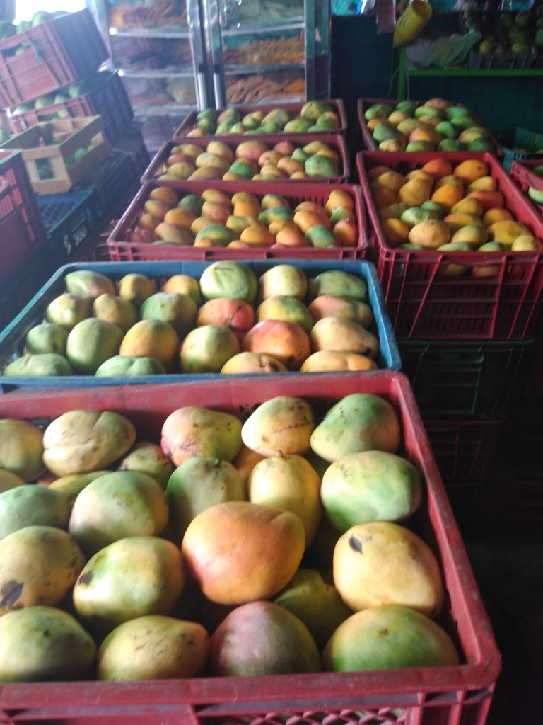 Mango manzano