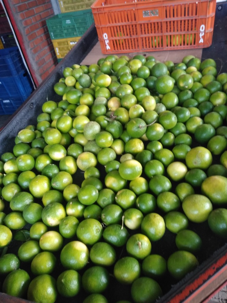 Limón taithi 1ra