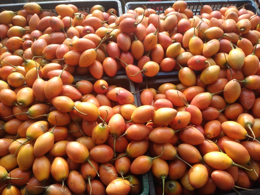 Tomate de árbol 1ra
